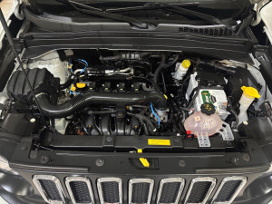 Renegade 1.8 16V 4P FLEX AUTOMÁTICO